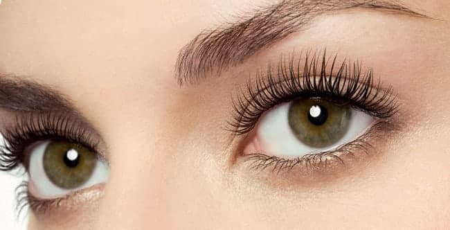 Eyebrow Shape & Tint